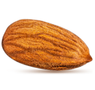 Almond – Nourishment from Nature’s Goldmine